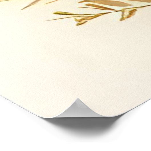 Mother's Embrace – Unconditional Love in Bloom Poster (Hoek)