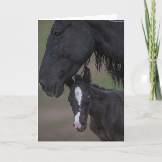 Mother's Love - Galloping to Freedom Wenskaart Kaart (Voorkant)