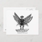 MOTHMAN, Greetings uit West Virginia. Briefkaart (Voorkant / Achterkant)