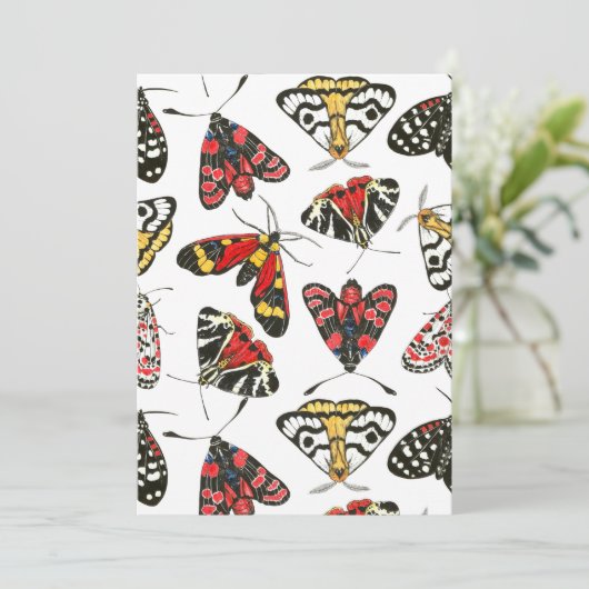 Moths (Staand voorkant)