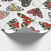 Moths Cadeaupapier (Hoek)
