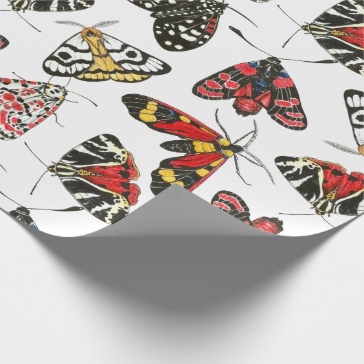 Moths Cadeaupapier (Hoek)