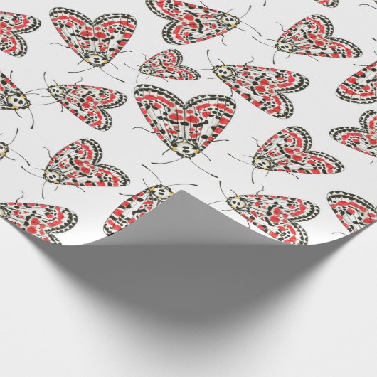 Moths Cadeaupapier (Hoek)