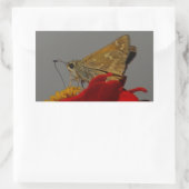 Moths en Red Zinnia Rechthoekige Sticker (Tas)