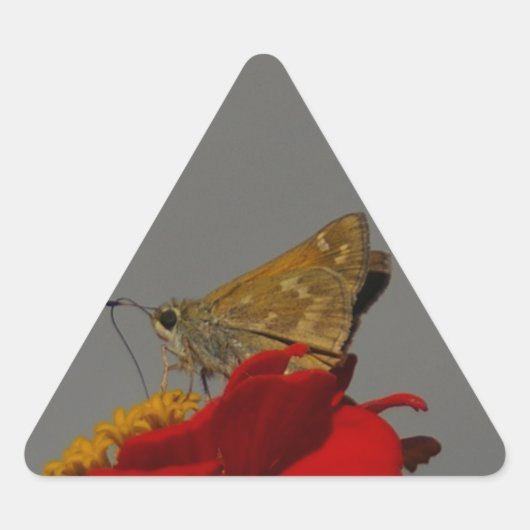 Moths en Red Zinnia Sticker (Voorkant)