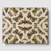  Moths Gastenboek (Voorkant)