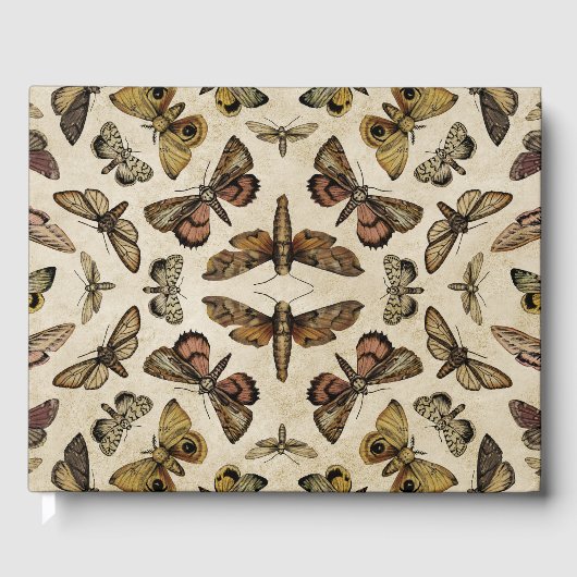  Moths Gastenboek (Voorkant)