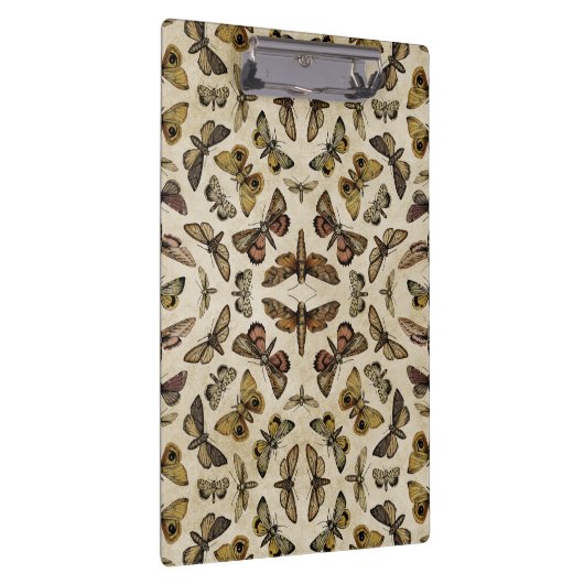  Moths Klembord (Rechts)