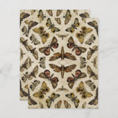  Moths Notitiekaartje (Voorkant / Achterkant)