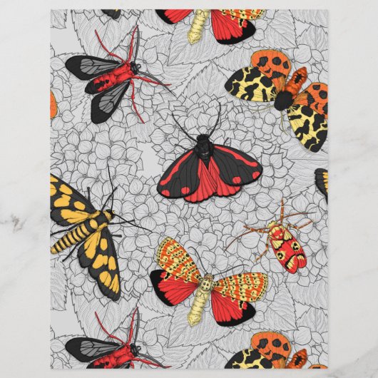 Moths on hydrangea (Achterkant)