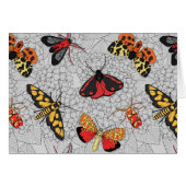 Moths on hydrangea (Voorkant Horizontaal)