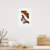Moths Poster (Keuken)
