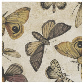  Moths Stof (Close Up)