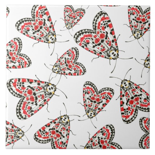 Moths Tegeltje (Voorkant)