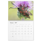 MOTHS UPCLOSE 2021 CALENDAR KALENDER (Feb 2027)