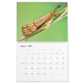 MOTHS UPCLOSE 2021 CALENDAR KALENDER (Mar 2027)