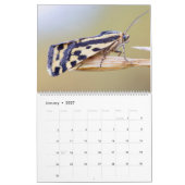 MOTHS UPCLOSE 2021 CALENDAR KALENDER (Jan 2027)