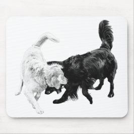 Motion Over Words Muismat