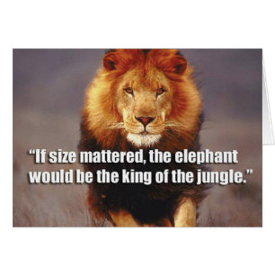 Motivaitonale fitness Gym