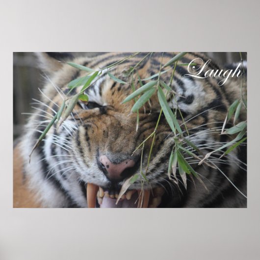 Motivate, Motivatie, Laugh Poster (Voorkant)