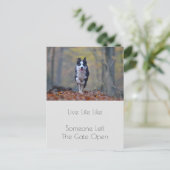 Motivatie Afstuderen hond positiviteit Quote Briefkaart (Staand voorkant)