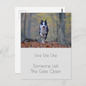 Motivatie Afstuderen hond positiviteit Quote Briefkaart (Voorkant / Achterkant)