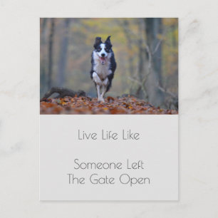 Motivatie Afstuderen hond positiviteit Quote Briefkaart