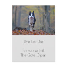 Motivatie Afstuderen hond positiviteit Quote