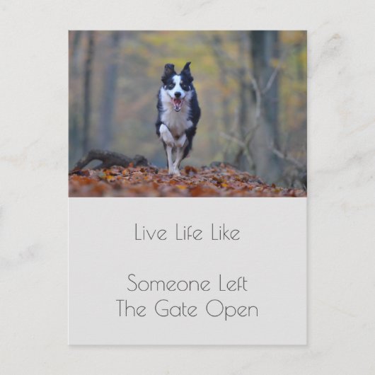 Motivatie Afstuderen hond positiviteit Quote Briefkaart (Voorkant)