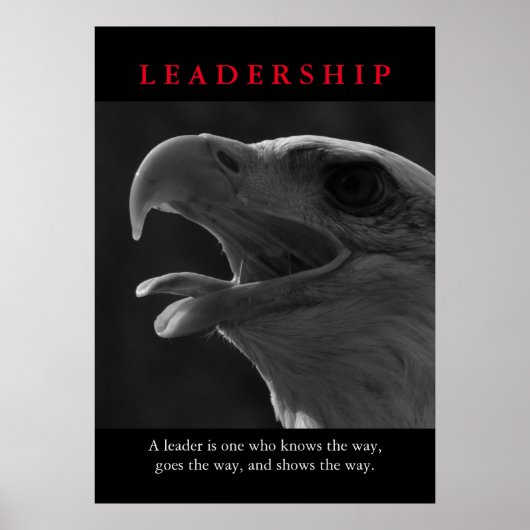 Motivatie Bald American Eagle leiderschap Poster (Voorkant)