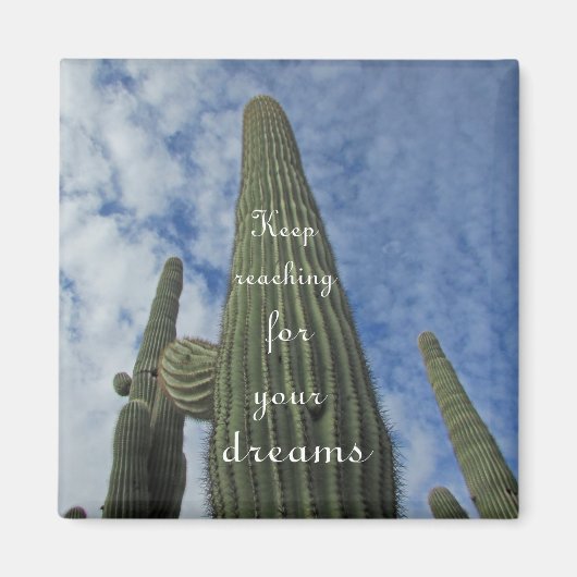 Motivatie Bereik voor Dreams Cactus Southwest Magneet (Voorkant)