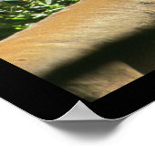 Motivatie Citaat Loon Verwarmde Muur Poster (Hoek)