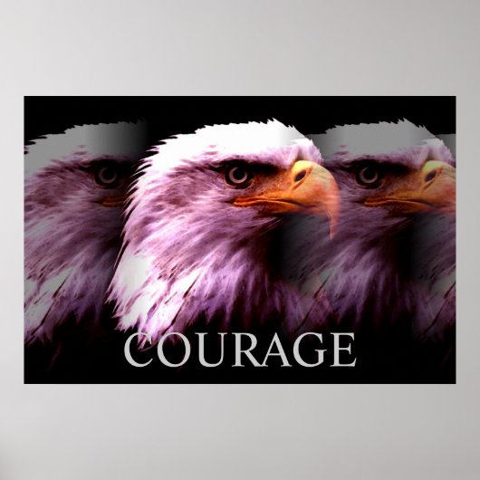 Motivatie Courage Amerikaanse Bald Eagle Poster (Voorkant)