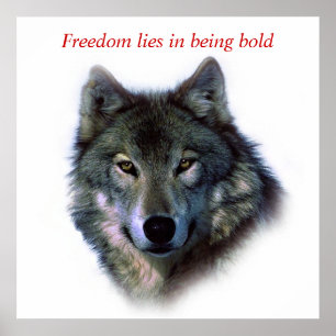 Motivatie Courage Freedom Wolf Eyes Poster
