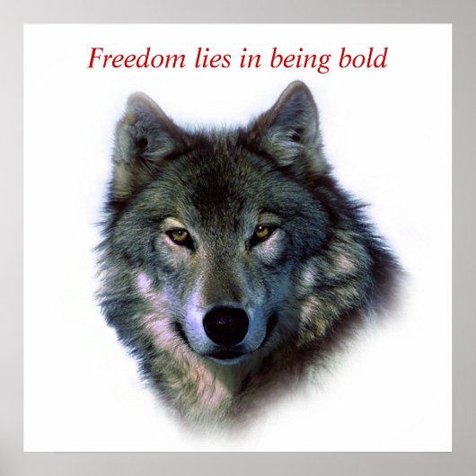 Motivatie Courage Freedom Wolf Eyes Poster (Voorkant)