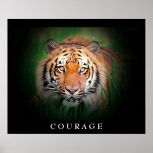 Motivatie Courage Tiger Eyes Poster