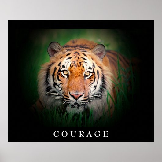 Motivatie Courage Tiger Eyes Poster (Voorkant)