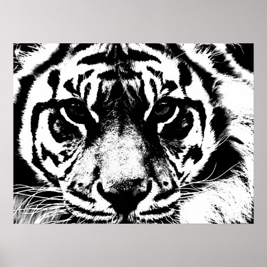Motivatie Courage Tiger Poster afdrukken (Voorkant)