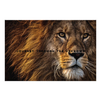 Motivatie en Inspirerend lionkunst Foto Afdruk