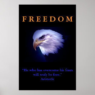 Motivatie Freedom Courage Eagle Poster Print