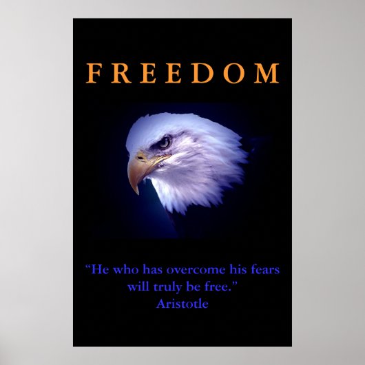 Motivatie Freedom Courage Eagle Poster Print (Voorkant)