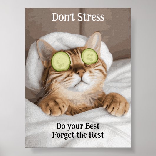 Motivatie Funny Inspirerend Cat Poster (Voorkant)