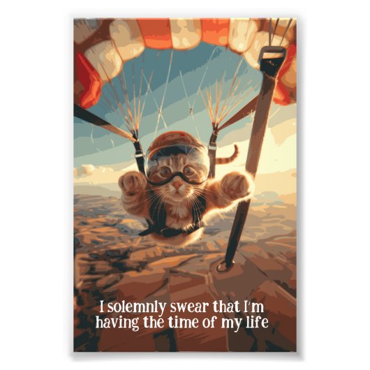 Motivatie Funny Inspirerend Cat Poster (Voorkant)