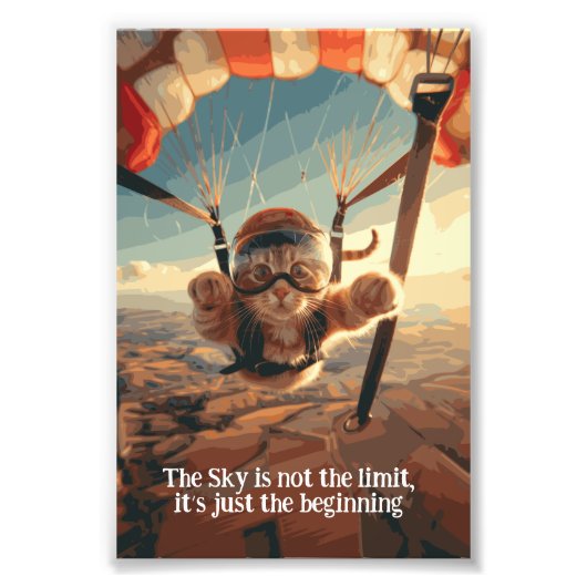 Motivatie Funny Inspirerend Cat Poster (Voorkant)