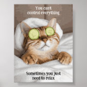 Motivatie Funny Inspirerend Cat Poster (Voorkant)