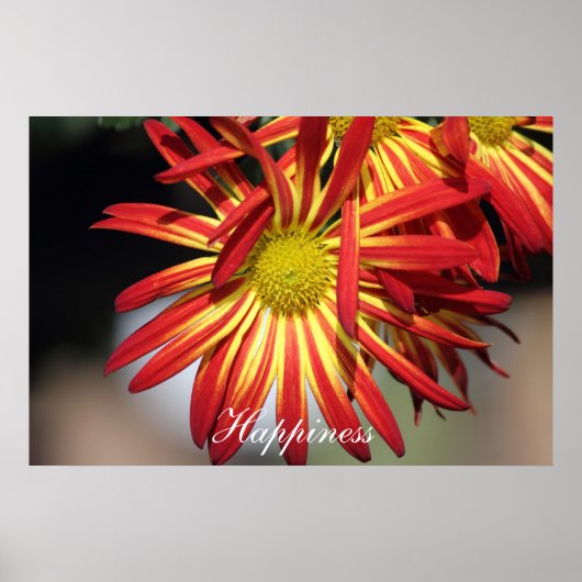 Motivatie geluk poster (Voorkant)