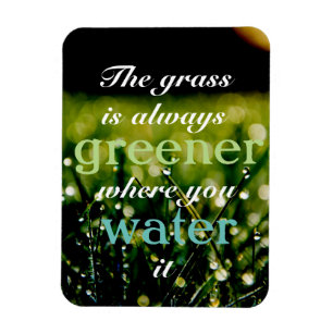 Motivatie Grass is groener waar u het water geeft Magneet