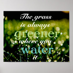 Motivatie Grass is groener waar u het water geeft Poster