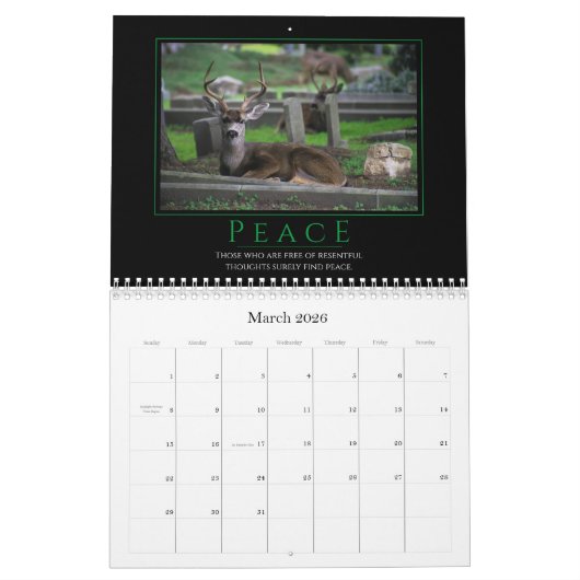 Motivatie / inspiratie 2021 kalender (Mar 2026)