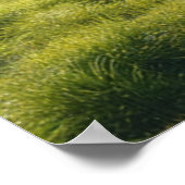 Motivatie Inspirerend Poster (Hoek)